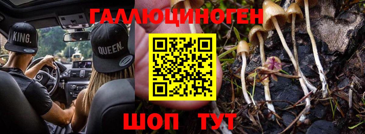 Псилоцибиновые грибы ЛСД Чебоксары