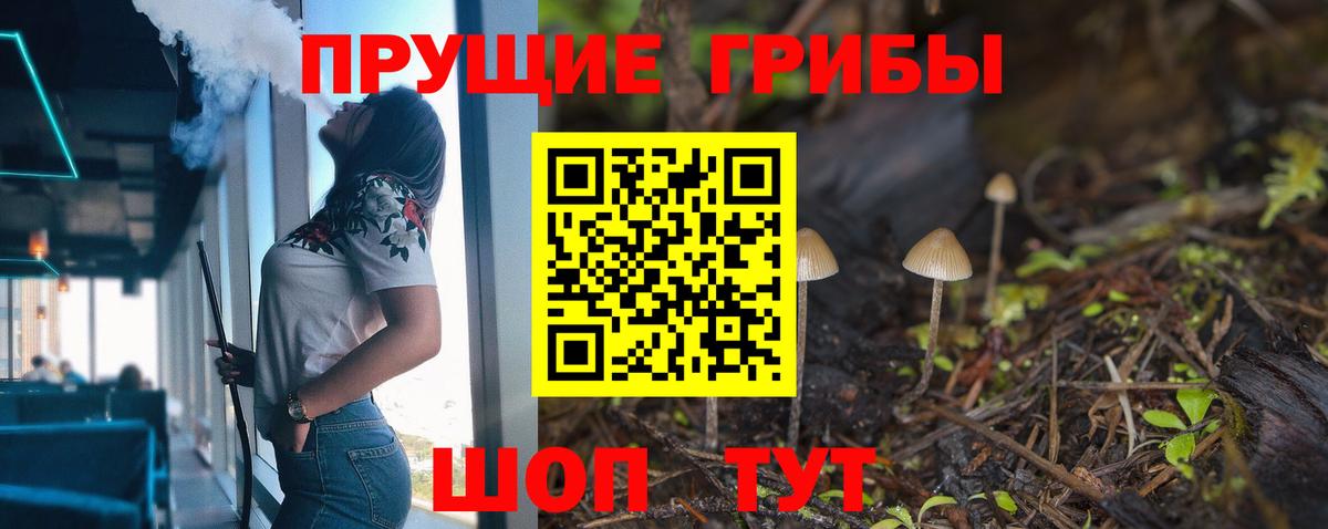 Псилоцибиновые грибы GOLDEN TEACHER  Вход с VPN  как найти закладки  Чебоксары 